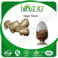 High quality dried ginger powder price free samples